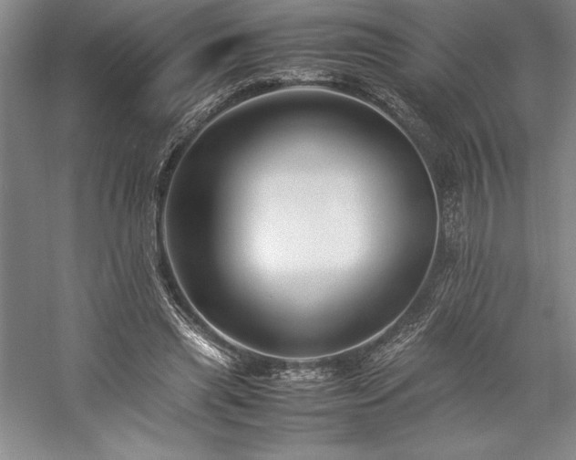 X0000057100445200509091208