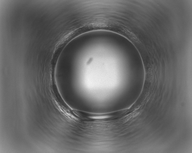 X0000057100446200509091208