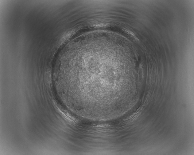 X0000057100447200509091208