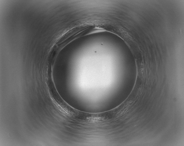 X0000057100448200509091208