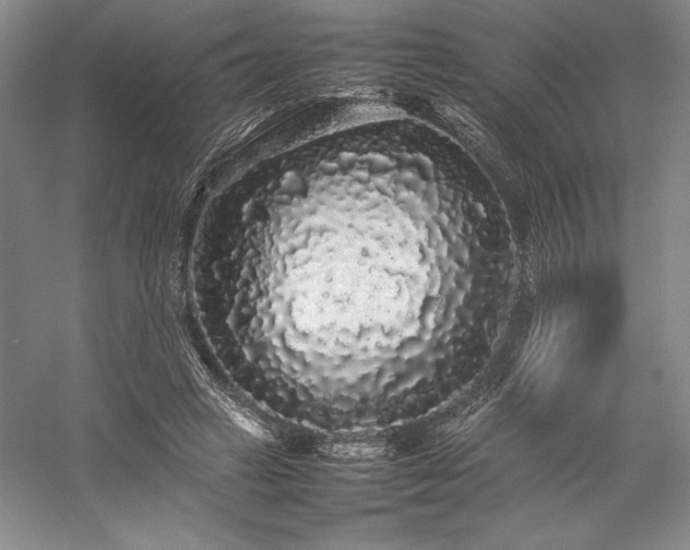 X0000057100449200509091208