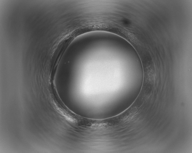 X0000057100450200509091208