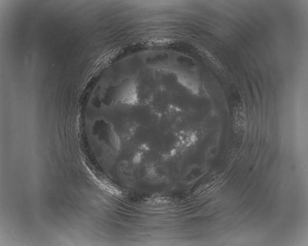 X0000057100451200509091208