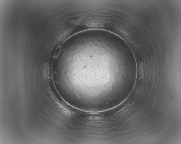 X0000057100453200509091208