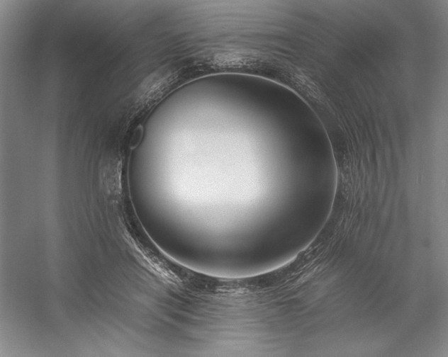 X0000057100454200509091208