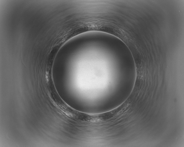 X0000057100456200509091208