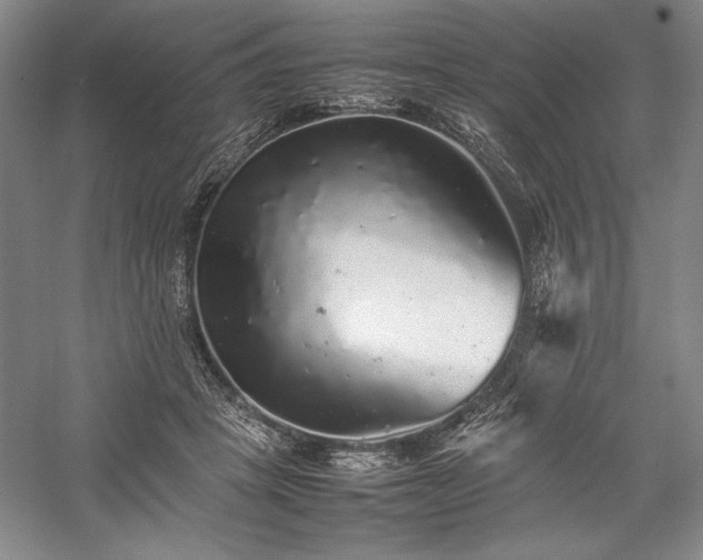 X0000057100457200509091208