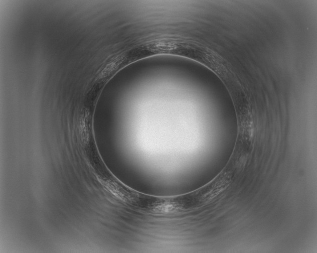 X0000057100460200509091208