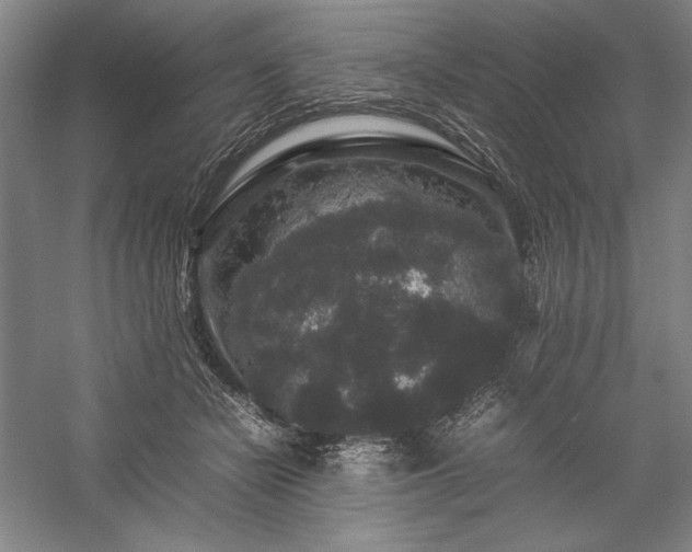 X0000057100462200509091208