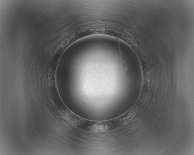 X0000057100464200509091208