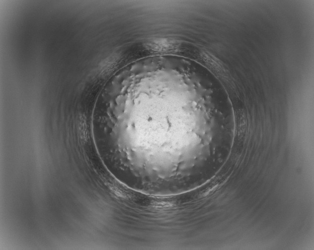 X0000057100469200509091208