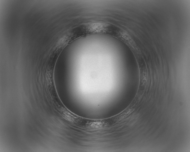 X0000057100473200509091208