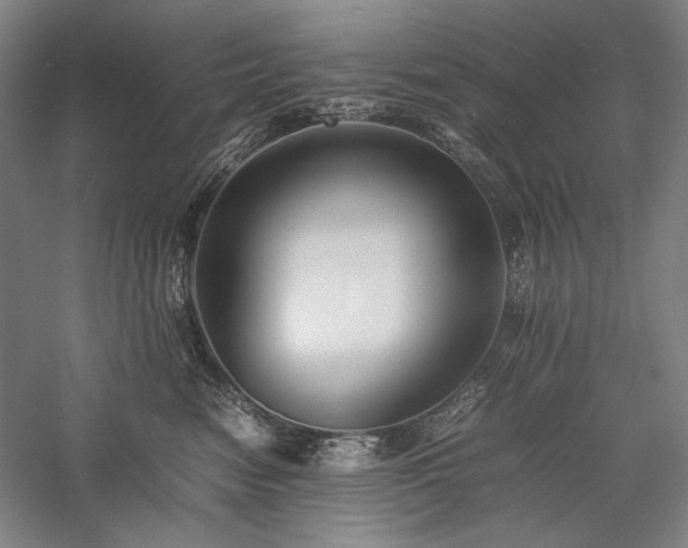 X0000057100474200509091208