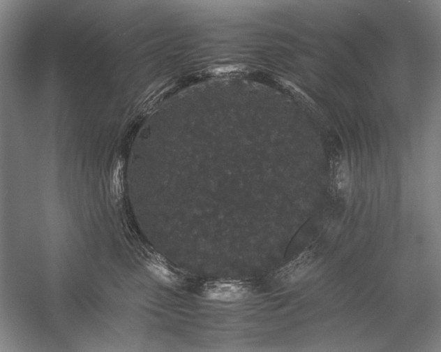 X0000057100475200509091208