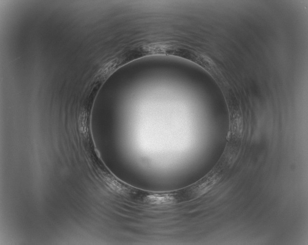 X0000057100477200509091208