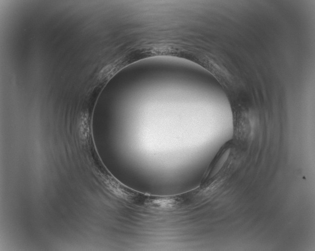 X0000057100478200509091208