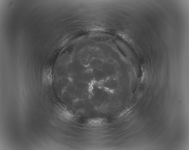 X0000057100479200509091208