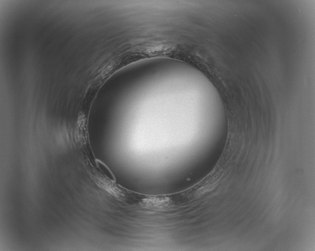 X0000057100480200509091208