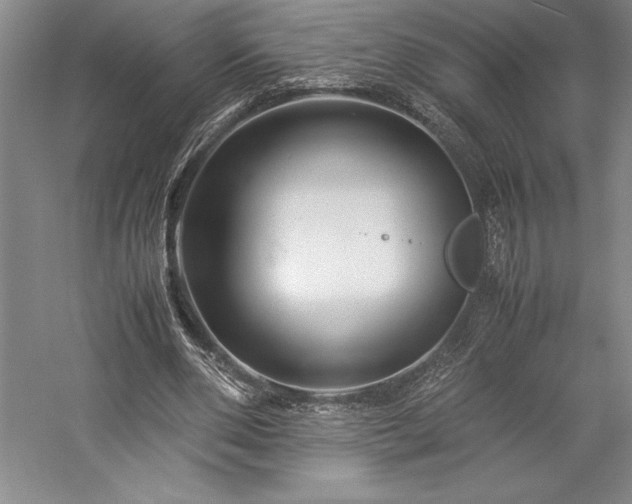 X0000057100486200509091207