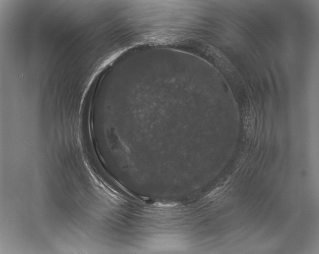 X0000057100488200509091207