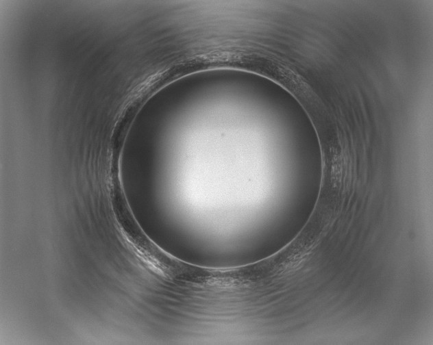 X0000057100490200509091207