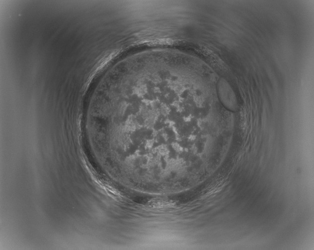 X0000057100491200509091207