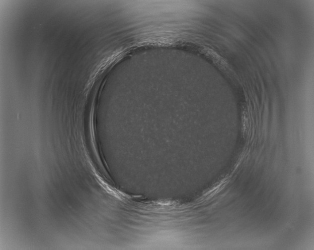 X0000057100493200509091207