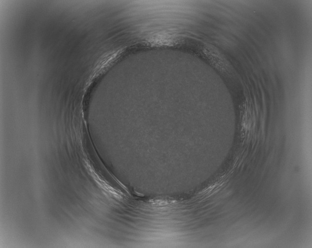 X0000057100494200509091207