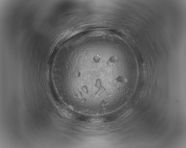 X0000057100495200509091207