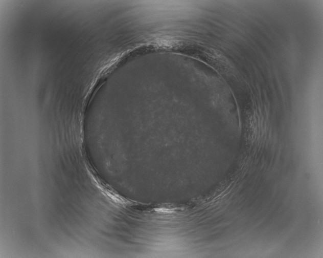 X0000057100496200509091207