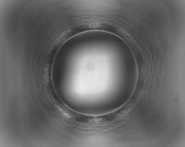 X0000057100497200509091207