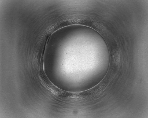 X0000057100498200509091207