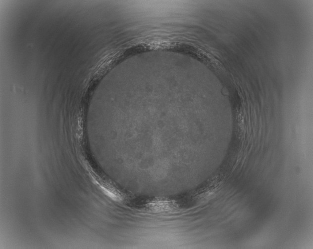 X0000057100499200509091207