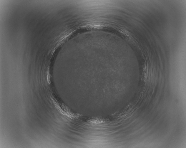 X0000057100500200509091207