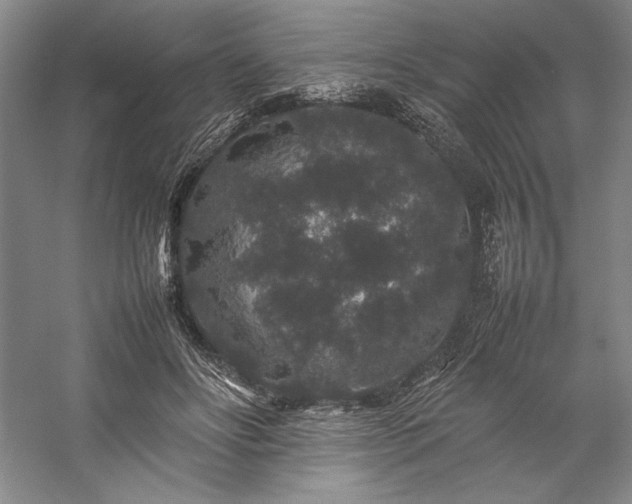 X0000057100502200509091207