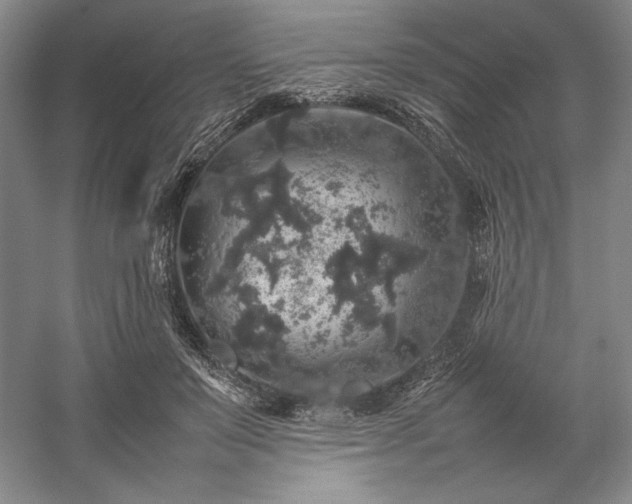 X0000057100503200509091207