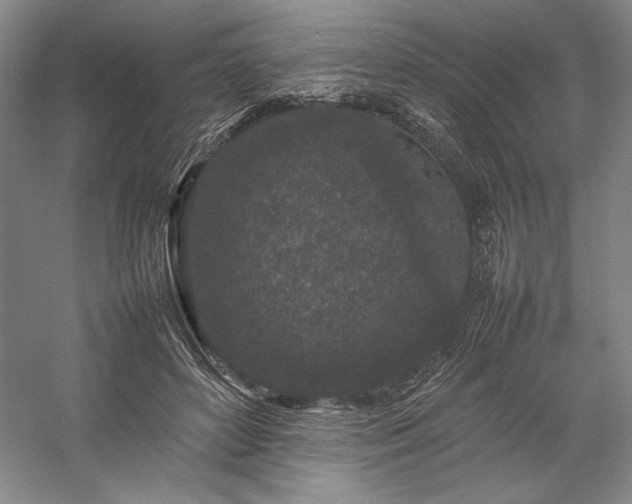 X0000057100504200509091207