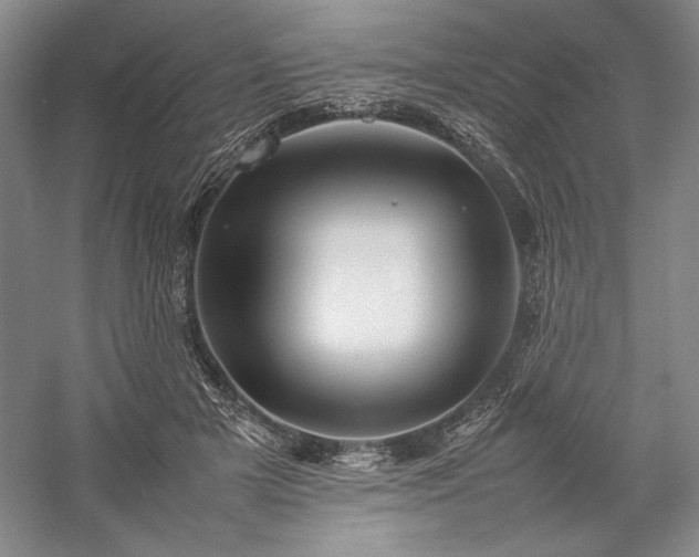 X0000057100505200509091207