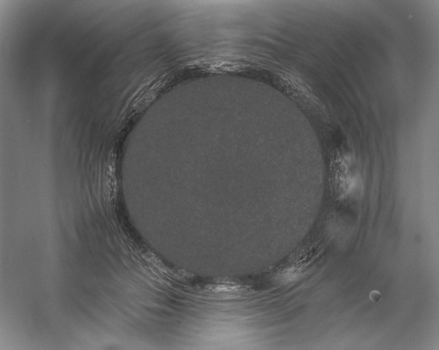 X0000057100506200509091207