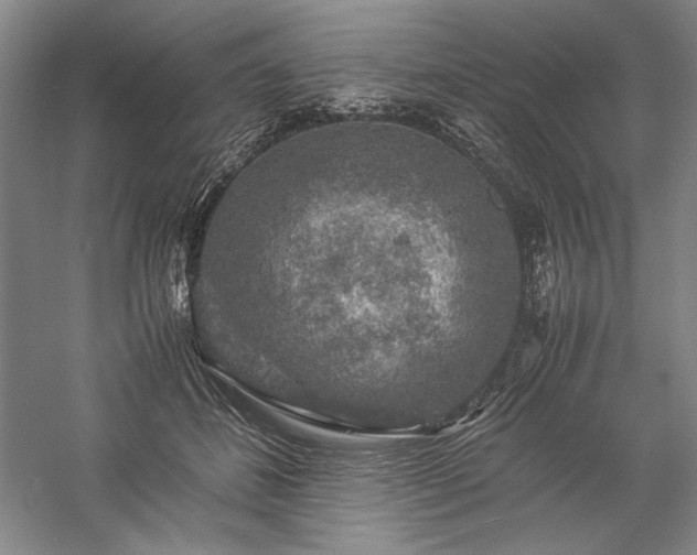 X0000057100508200509091207