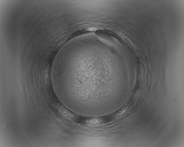 X0000057100513200509091207