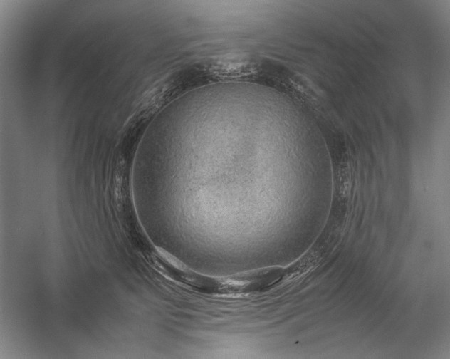 X0000057100515200509091207