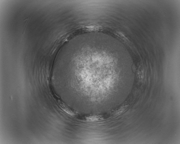 X0000057100516200509091207