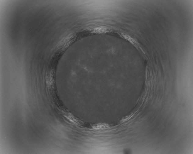 X0000057100517200509091207