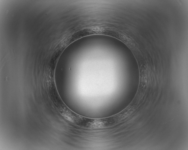 X0000057100518200509091207