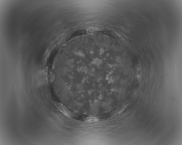 X0000057100519200509091207