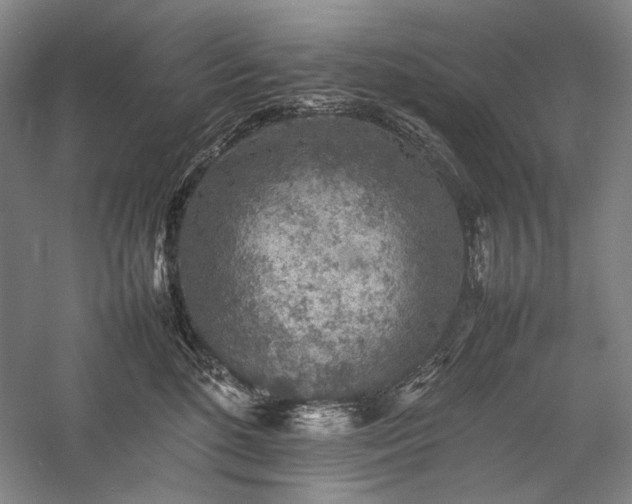 X0000057100520200509091207