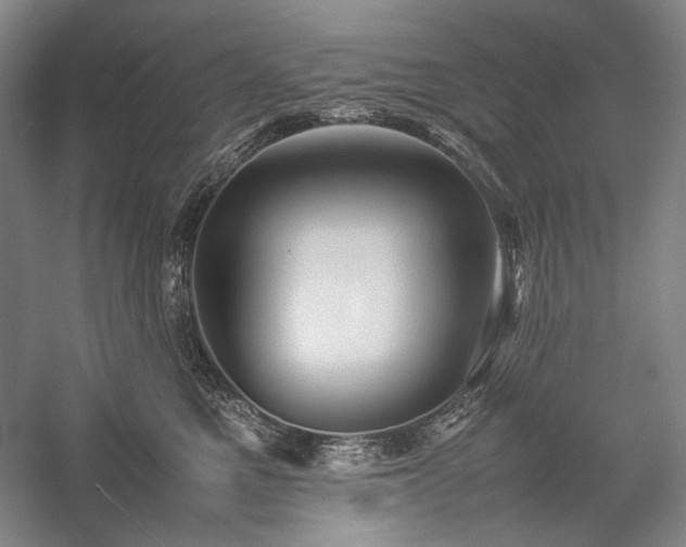 X0000057100521200509091207