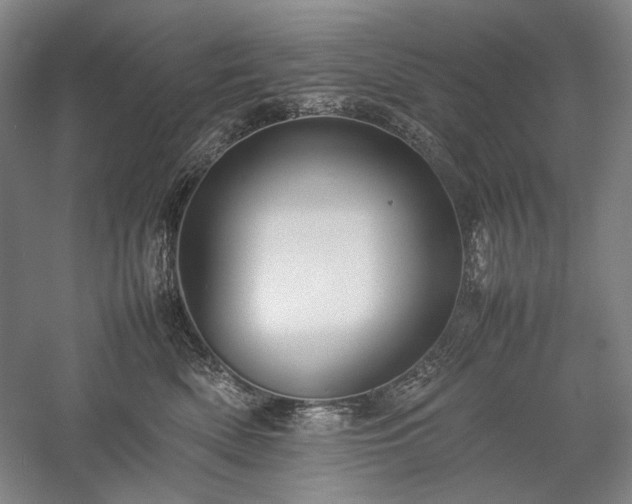 X0000057100522200509091207