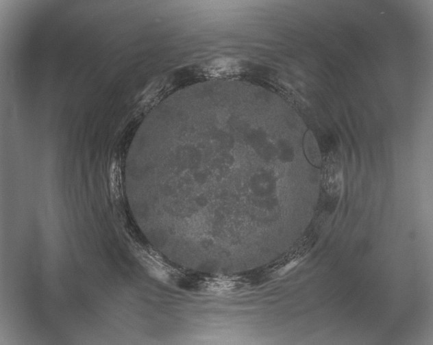 X0000057100523200509091207